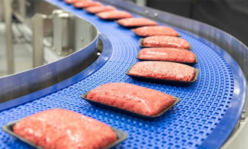 Modular Conveyor belts for Meat & Seafood 1