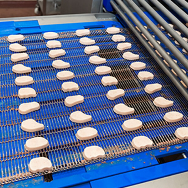 Engineering Excellence The Critical Role of Advanced Conveyor Systems in Modern E-commerce Operations