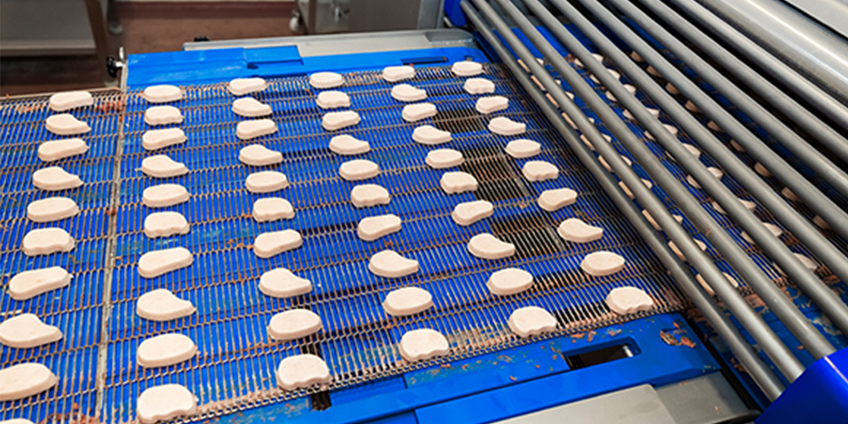 Engineering Excellence The Critical Role of Advanced Conveyor Systems in Modern E-commerce Operations